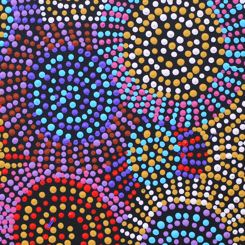 Aboriginal Artwork by Tina Napangardi Martin, Jinti-parnta Jukurrpa, 30x30cm