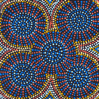 Aboriginal Artwork by Tina Napangardi Martin, Jinti-parnta Jukurrpa, 30x30cm