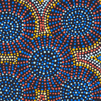 Aboriginal Artwork by Tina Napangardi Martin, Jinti-parnta Jukurrpa, 30x30cm