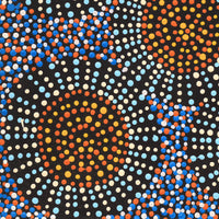 Aboriginal Artwork by Tina Napangardi Martin, Jinti-parnta Jukurrpa, 30x30cm