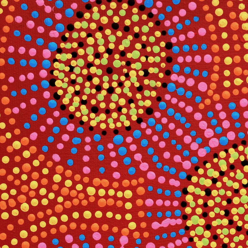 Aboriginal Artwork by Tina Napangardi Martin, Jinti-parnta Jukurrpa, 30x30cm