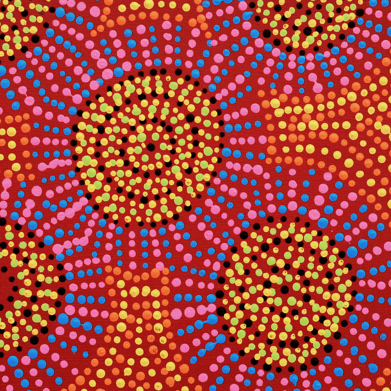 Aboriginal Artwork by Tina Napangardi Martin, Jinti-parnta Jukurrpa, 30x30cm