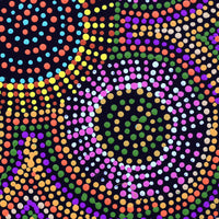 Aboriginal Artwork by Tina Napangardi Martin, Jinti-parnta Jukurrpa, 30x30cm