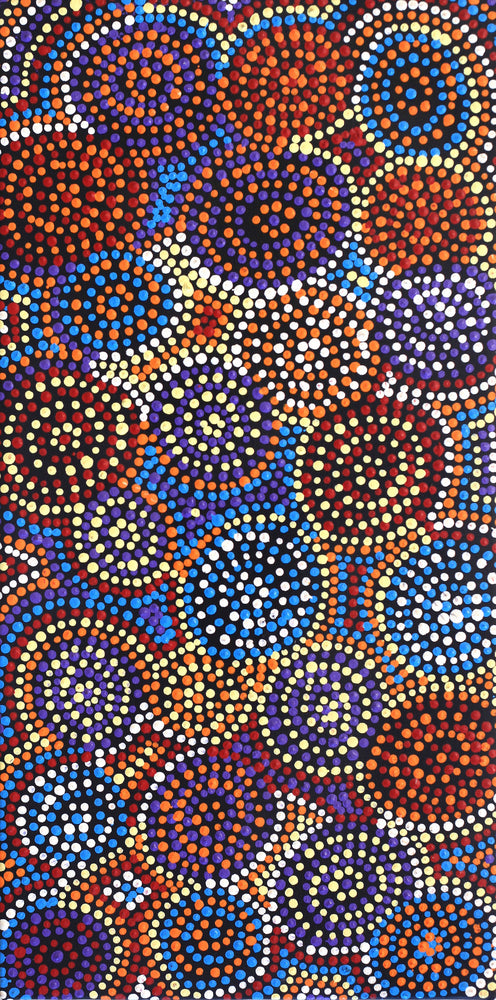 Aboriginal Artwork by Tina Napangardi Martin, Jinti-parnta Jukurrpa, 61x30cm