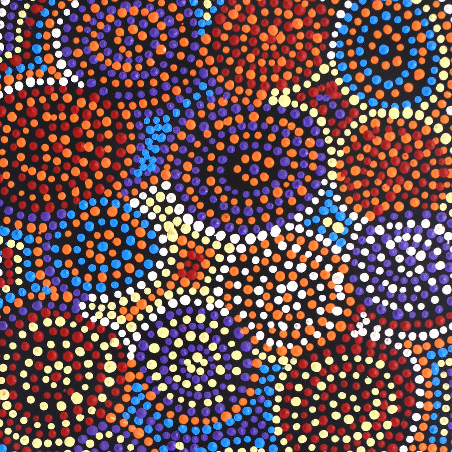 Aboriginal Artwork by Tina Napangardi Martin, Jinti-parnta Jukurrpa, 61x30cm