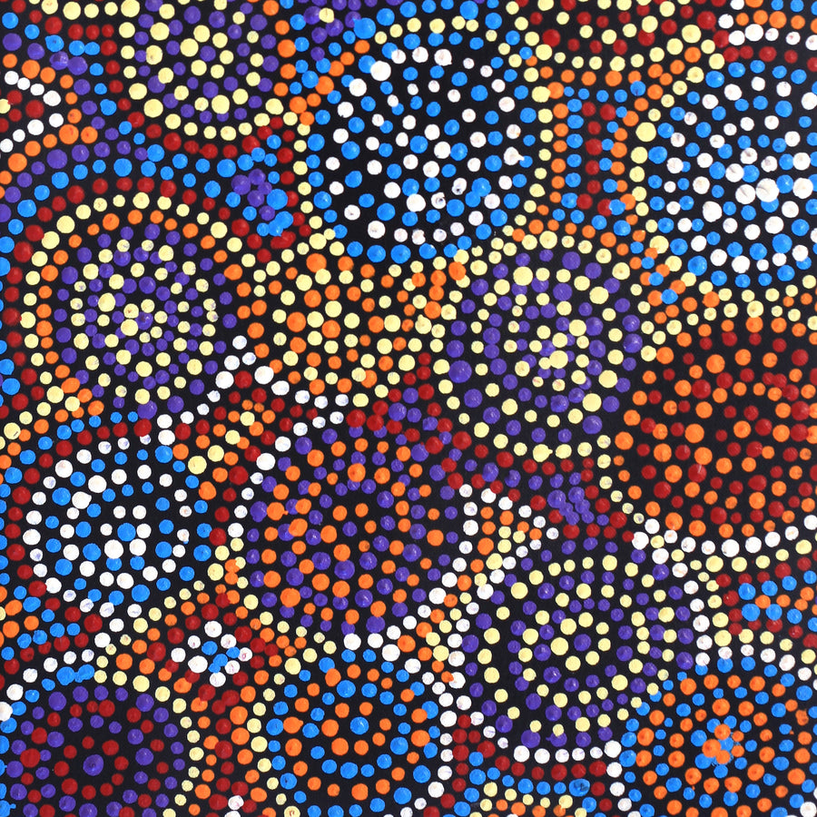 Aboriginal Artwork by Tina Napangardi Martin, Jinti-parnta Jukurrpa, 61x30cm