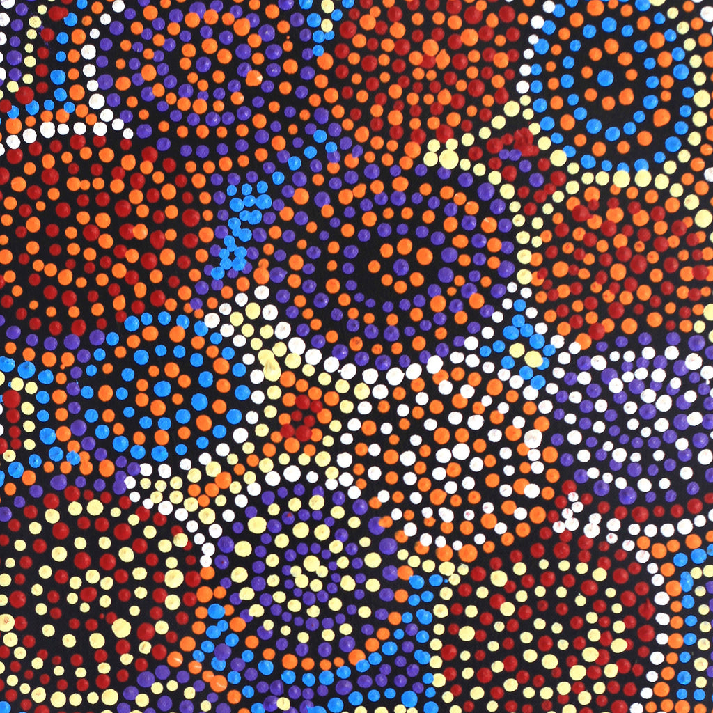 Aboriginal Artwork by Tina Napangardi Martin, Jinti-parnta Jukurrpa, 61x30cm - ART ARK®
