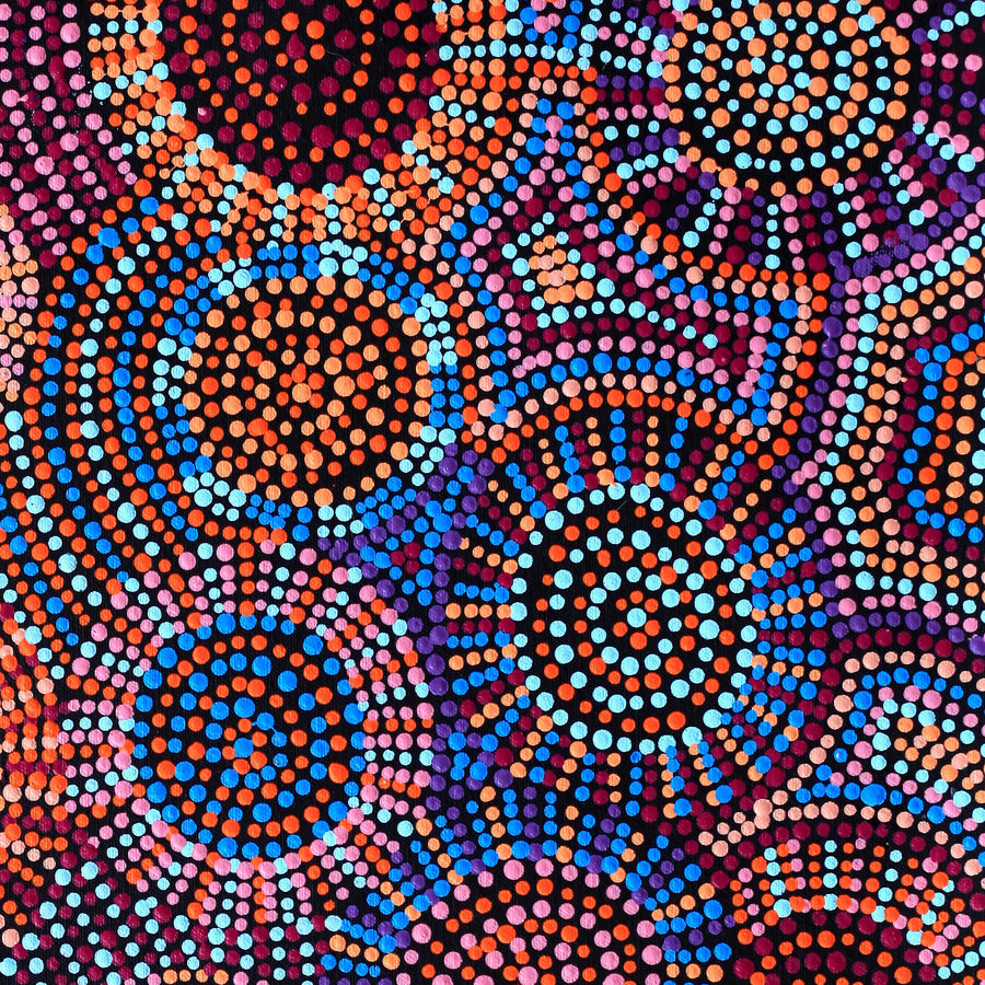 Aboriginal Artwork by Tina Napangardi Martin, Jinti-parnta Jukurrpa, 61x46cm