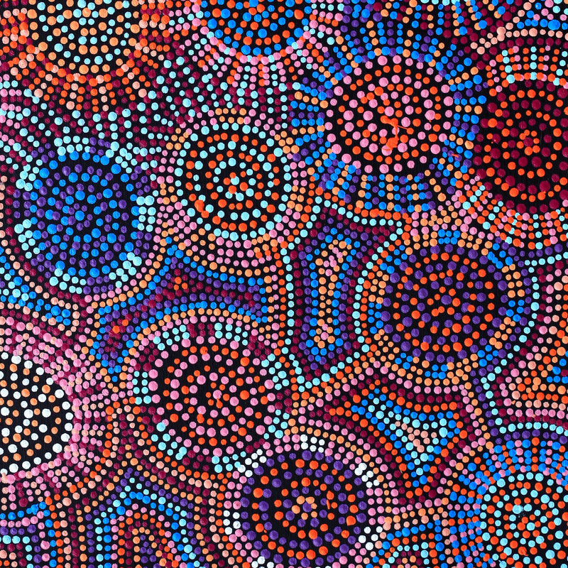 Aboriginal Artwork by Tina Napangardi Martin, Jinti-parnta Jukurrpa, 61x46cm