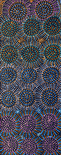 Aboriginal Artwork by Tina Napangardi Martin, Jinti-parnta Jukurrpa, 76x30cm