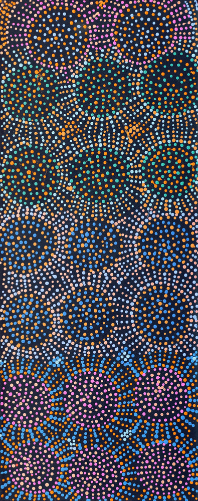 Aboriginal Artwork by Tina Napangardi Martin, Jinti-parnta Jukurrpa, 76x30cm