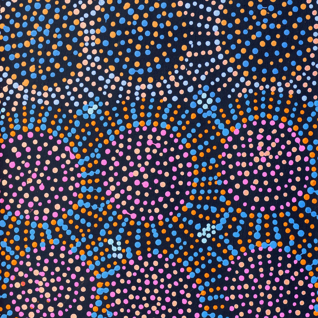 Aboriginal Artwork by Tina Napangardi Martin, Jinti-parnta Jukurrpa, 76x30cm