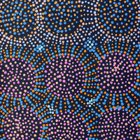 Aboriginal Artwork by Tina Napangardi Martin, Jinti-parnta Jukurrpa, 76x30cm