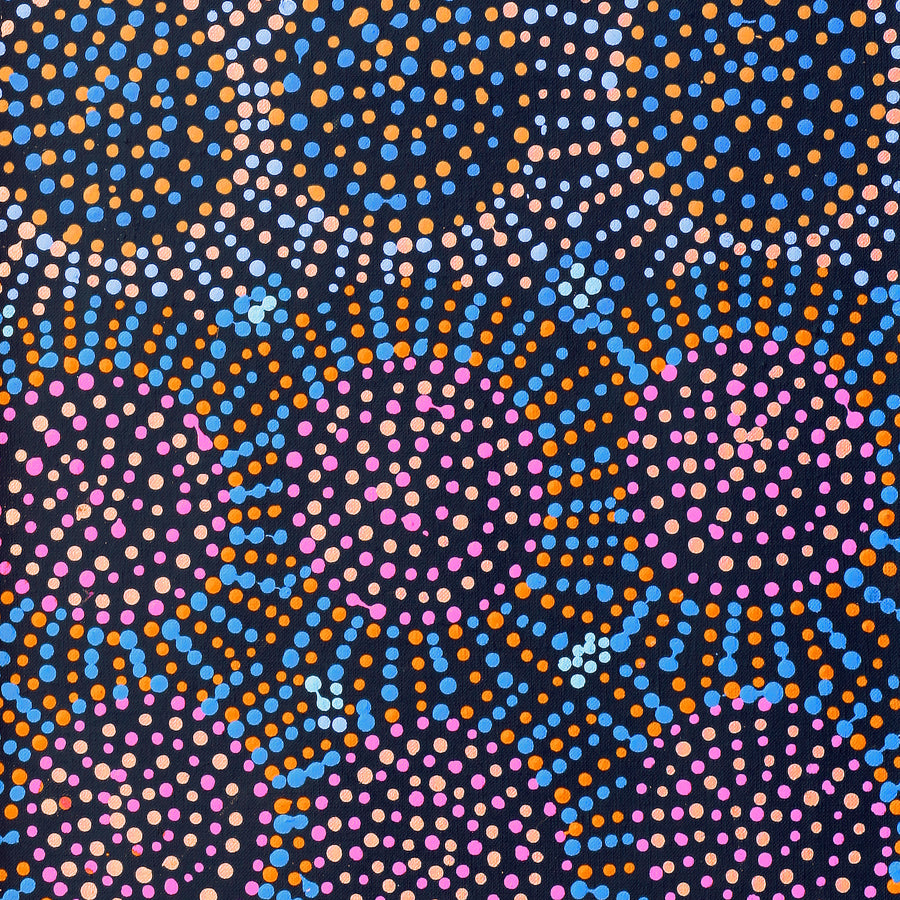 Aboriginal Artwork by Tina Napangardi Martin, Jinti-parnta Jukurrpa, 76x30cm