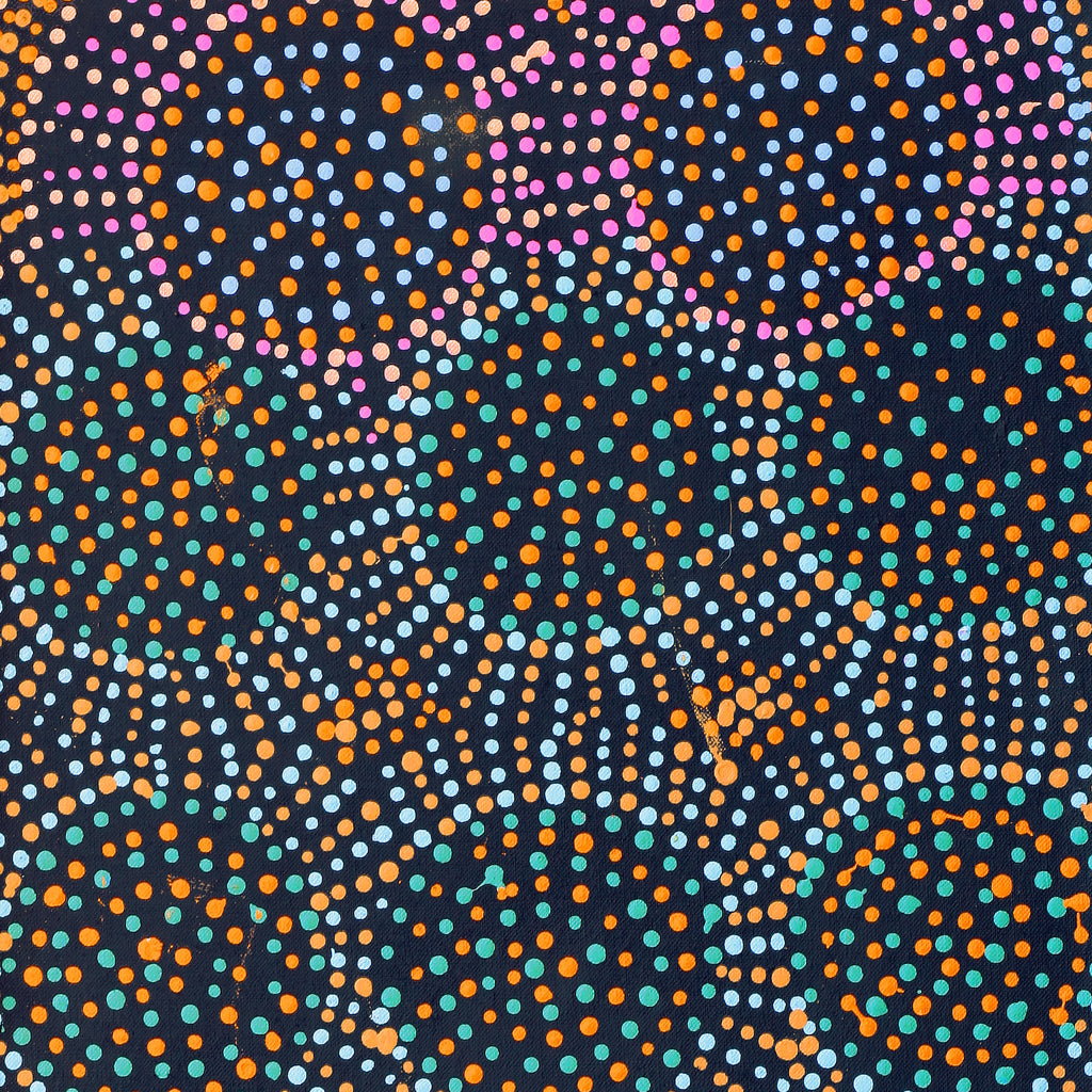 Aboriginal Artwork by Tina Napangardi Martin, Jinti-parnta Jukurrpa, 76x30cm