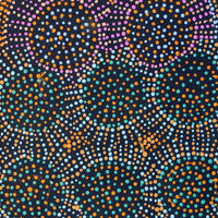 Aboriginal Artwork by Tina Napangardi Martin, Jinti-parnta Jukurrpa, 76x30cm
