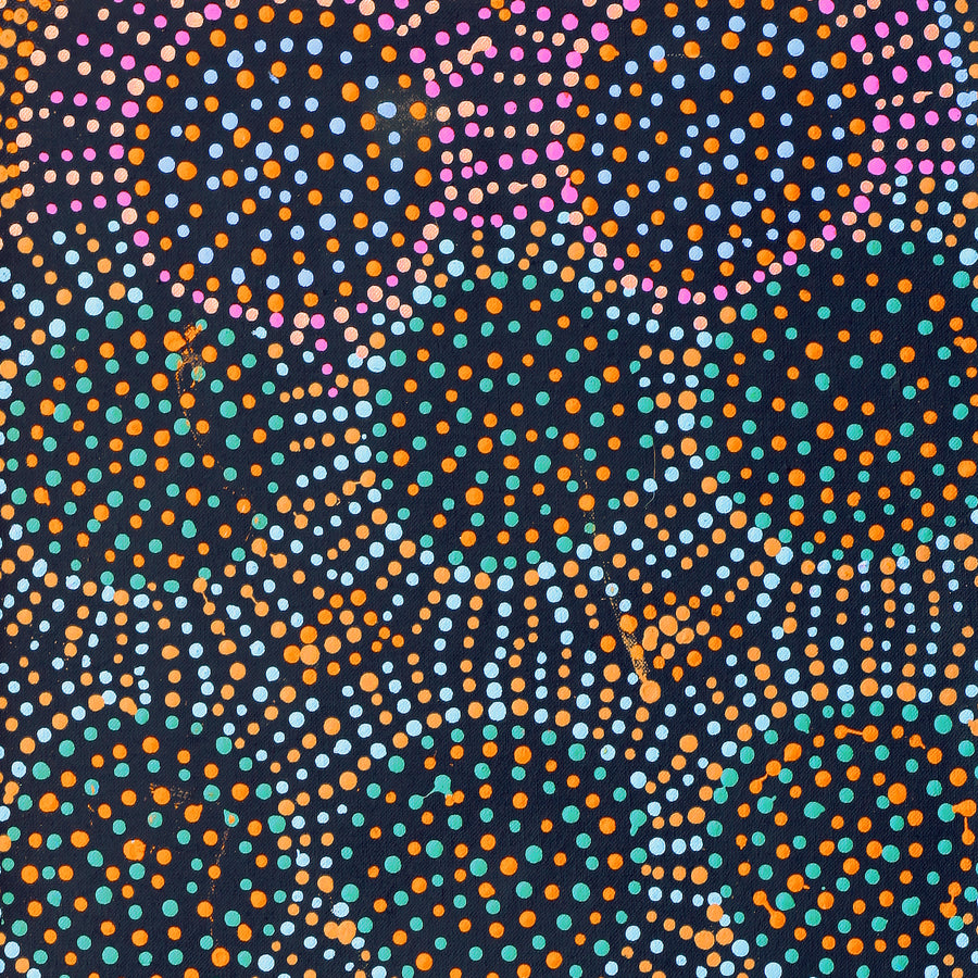 Aboriginal Artwork by Tina Napangardi Martin, Jinti-parnta Jukurrpa, 76x30cm