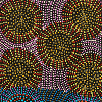 Aboriginal Artwork by Tina Napangardi Martin, Jinti-parnta Jukurrpa, 91x30cm