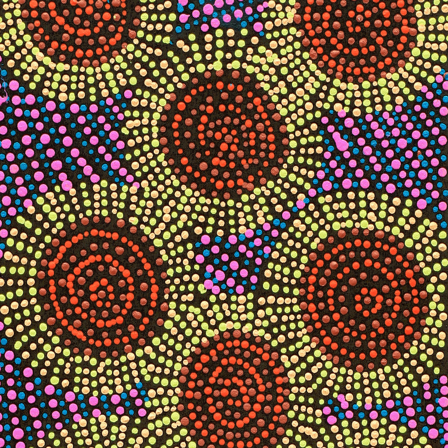 Aboriginal Artwork by Tina Napangardi Martin, Jinti-parnta Jukurrpa, 91x30cm