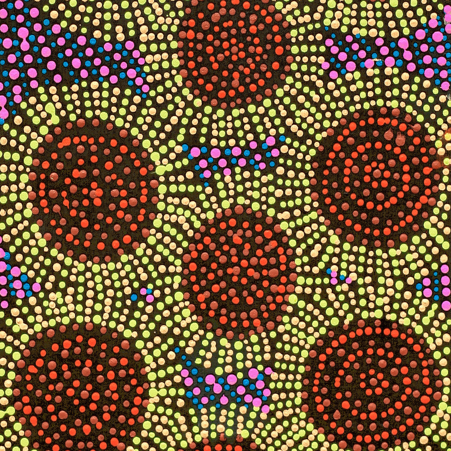 Aboriginal Artwork by Tina Napangardi Martin, Jinti-parnta Jukurrpa, 91x30cm