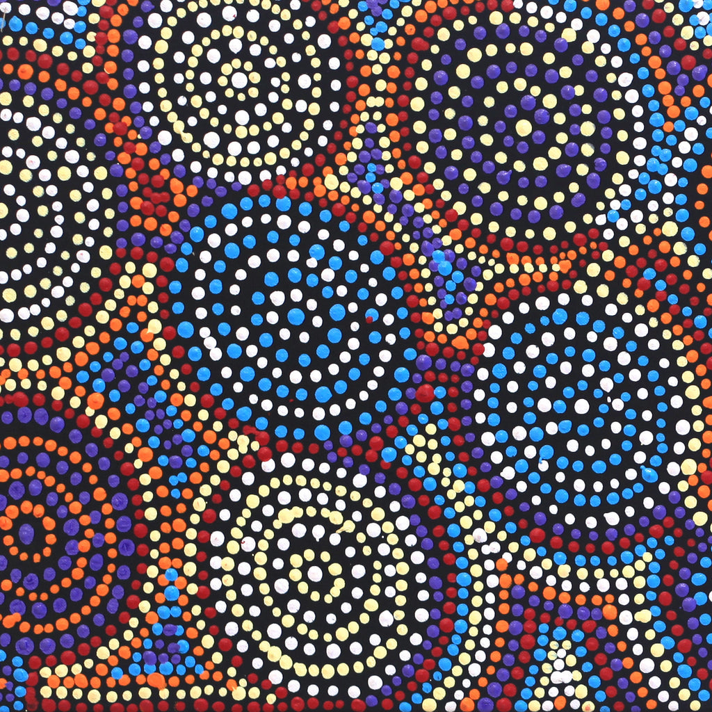 Aboriginal Artwork by Tina Napangardi Martin, Jinti-parnta Jukurrpa, 91x30cm