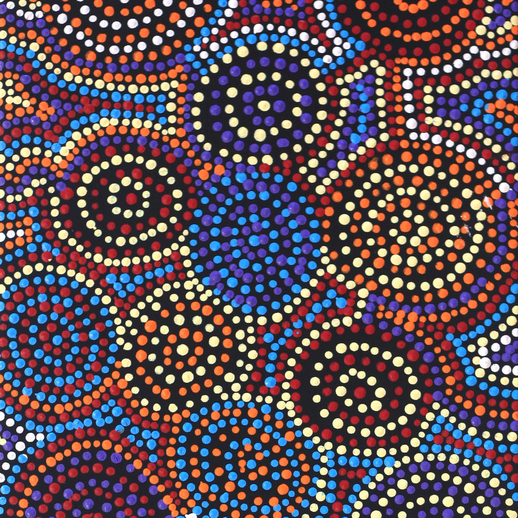 Aboriginal Artwork by Tina Napangardi Martin, Jinti-parnta Jukurrpa, 91x30cm
