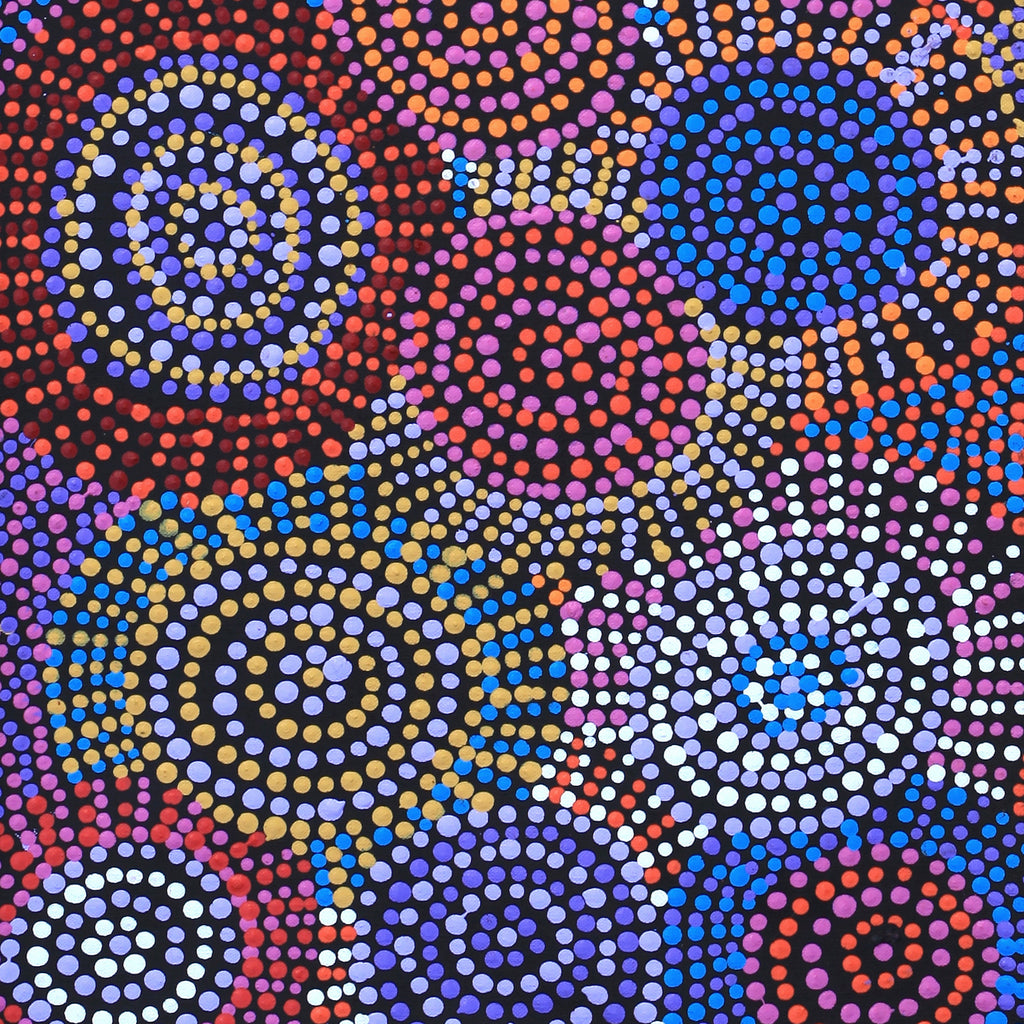 Aboriginal Artwork by Tina Napangardi Martin, Jinti-parnta Jukurrpa, 91x30cm