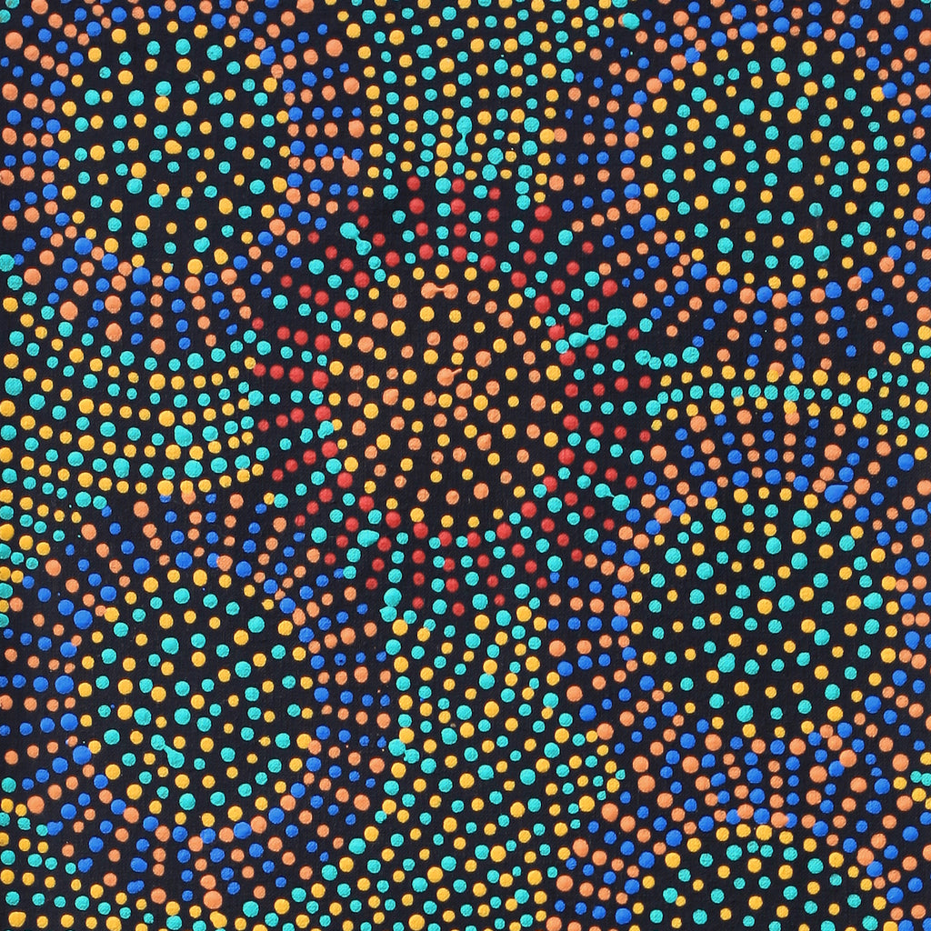 Aboriginal Artwork by Tina Napangardi Martin, Jinti-parnta Jukurrpa, 91x30cm