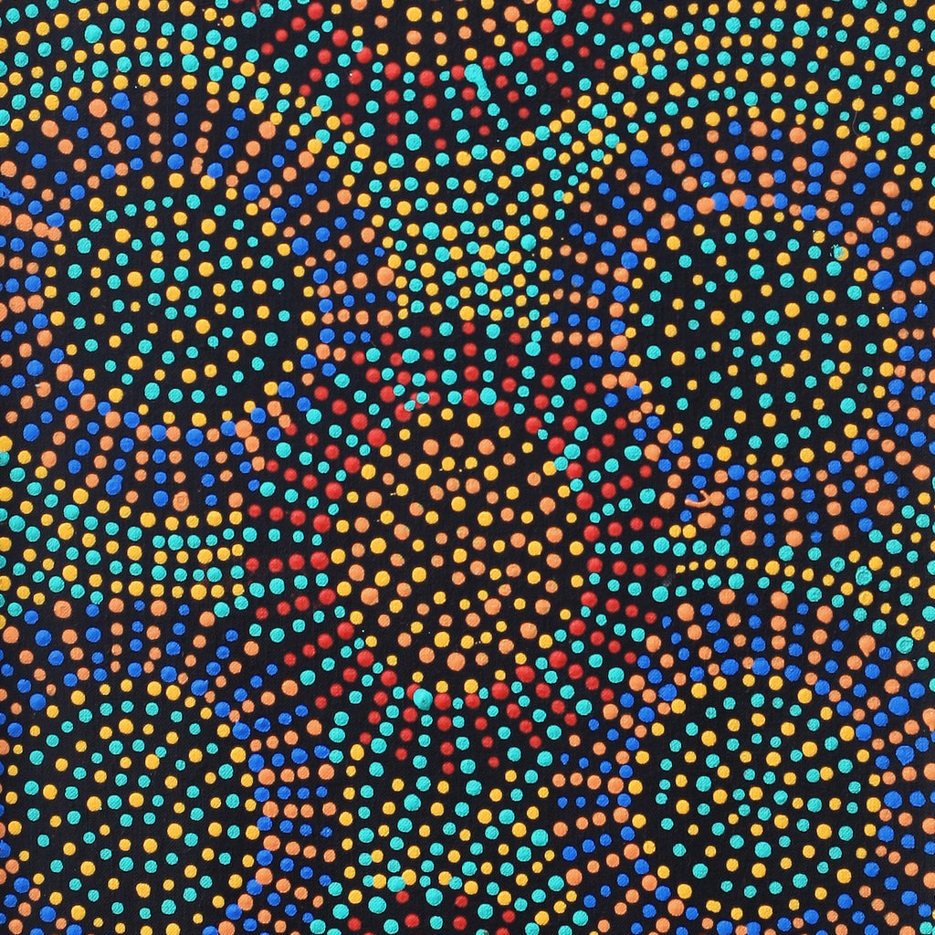 Aboriginal Artwork by Tina Napangardi Martin, Jinti-parnta Jukurrpa, 91x30cm