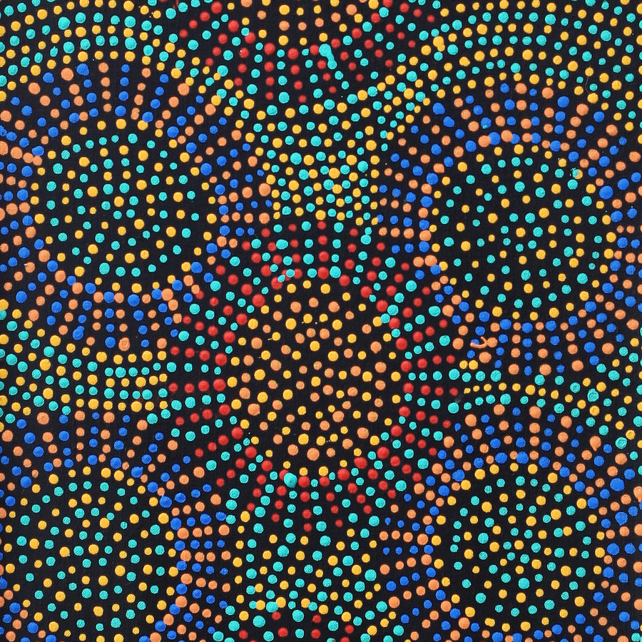 Aboriginal Artwork by Tina Napangardi Martin, Jinti-parnta Jukurrpa, 91x30cm