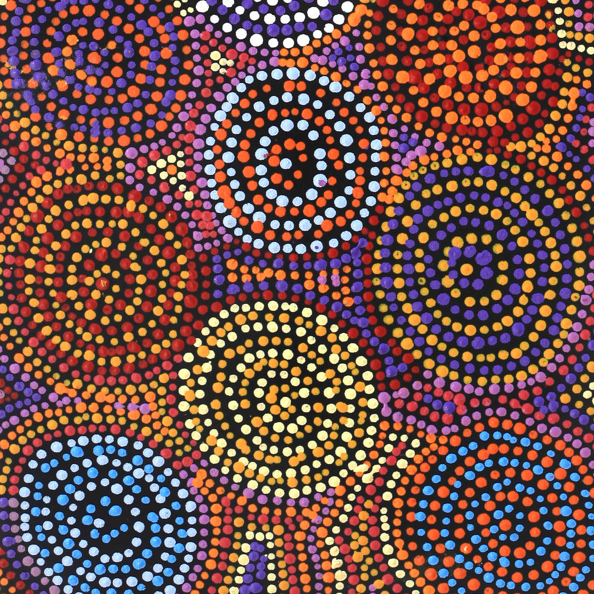 Aboriginal Artwork by Tina Napangardi Martin, Jinti-parnta Jukurrpa, 91x30cm