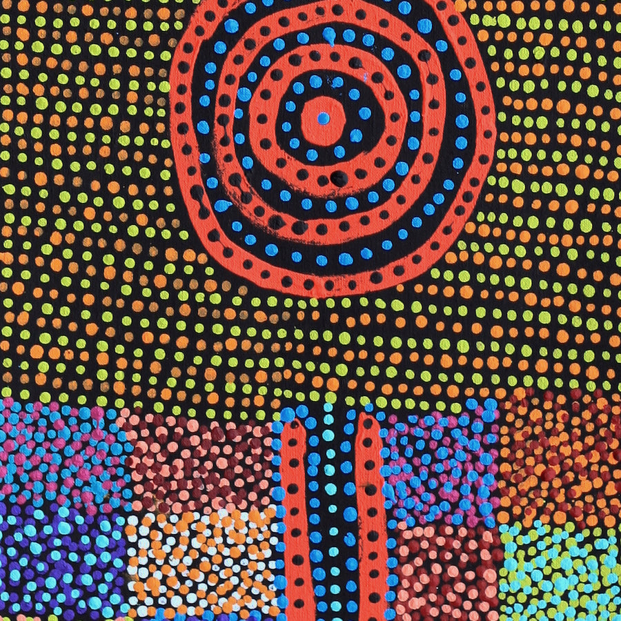 Aboriginal Artwork by Tina Napangardi Martin, Jinti-parnta Jukurrpa, 122x30cm