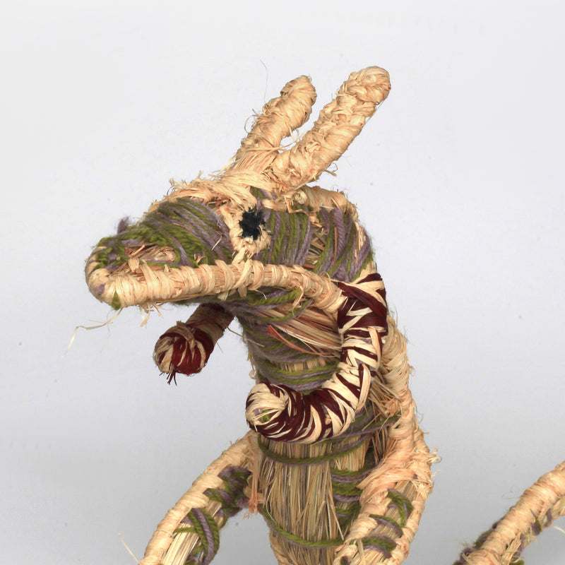 Aboriginal Artwork by Tjulkiwa Atira Atira Mick - Tjanpi Kangaroo Sculpture