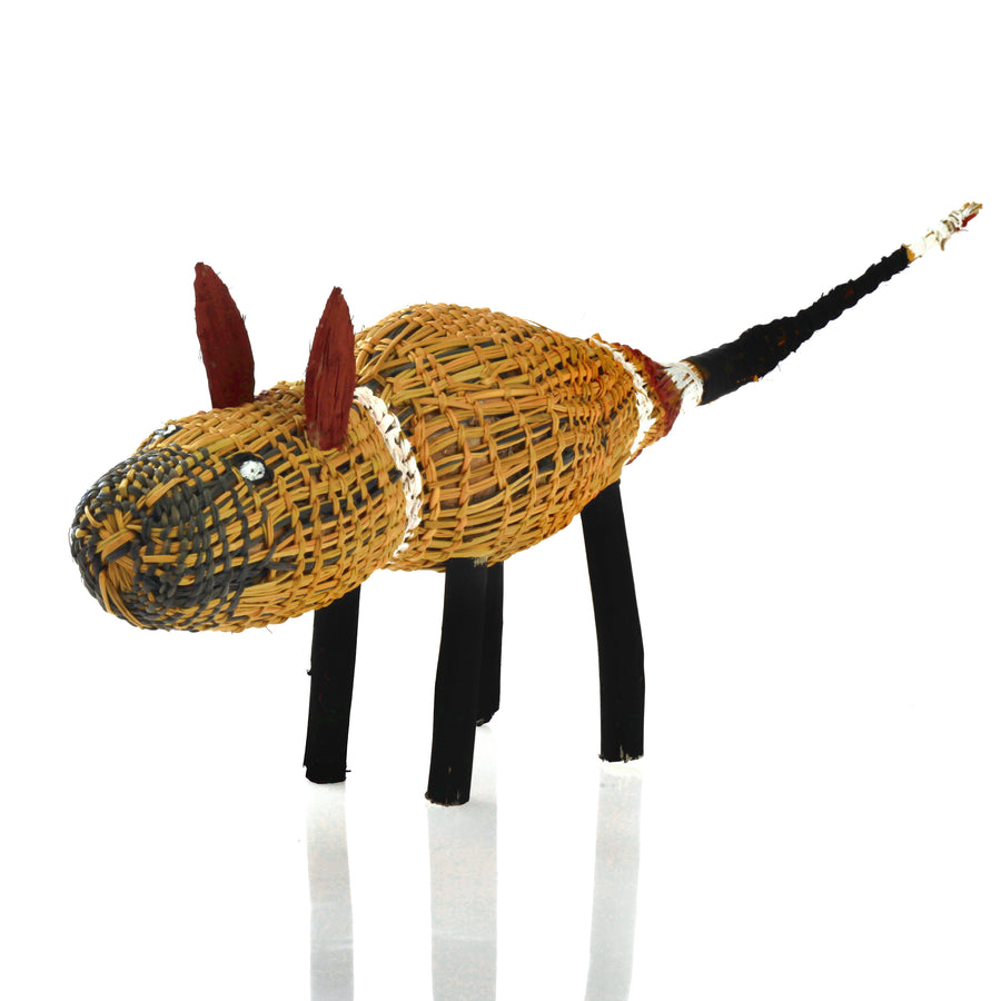 Aboriginal Artwork by Tony Raguwanga Cameron, Gapuwiyak - Woven Dog