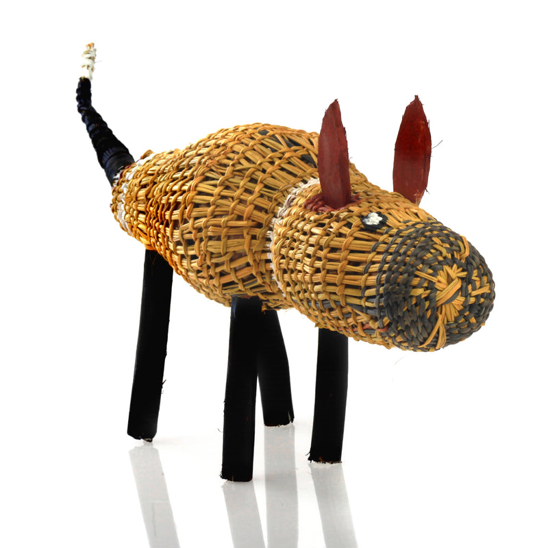 Aboriginal Artwork by Tony Raguwanga Cameron, Gapuwiyak - Woven Dog