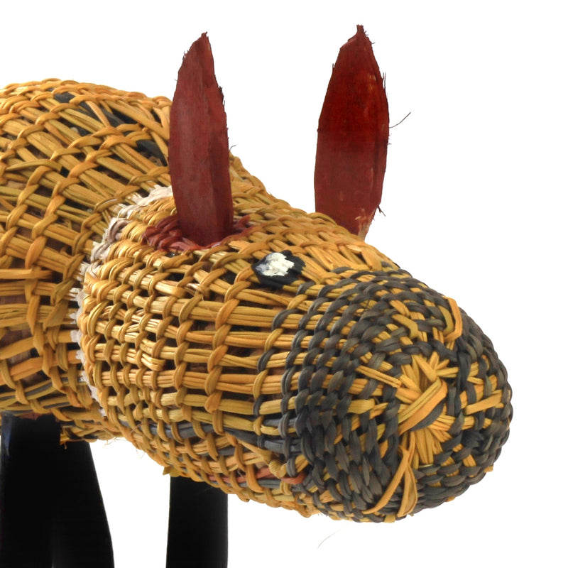 Aboriginal Artwork by Tony Raguwanga Cameron, Gapuwiyak - Woven Dog