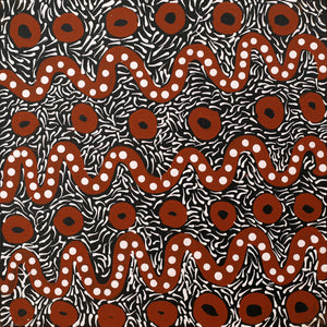 Aboriginal Artwork by Trevor Jupurrurla Walker, Pirlarla Jukurrpa (Dogwood Tree Bean Dreaming), 30x30cm - ART ARK®