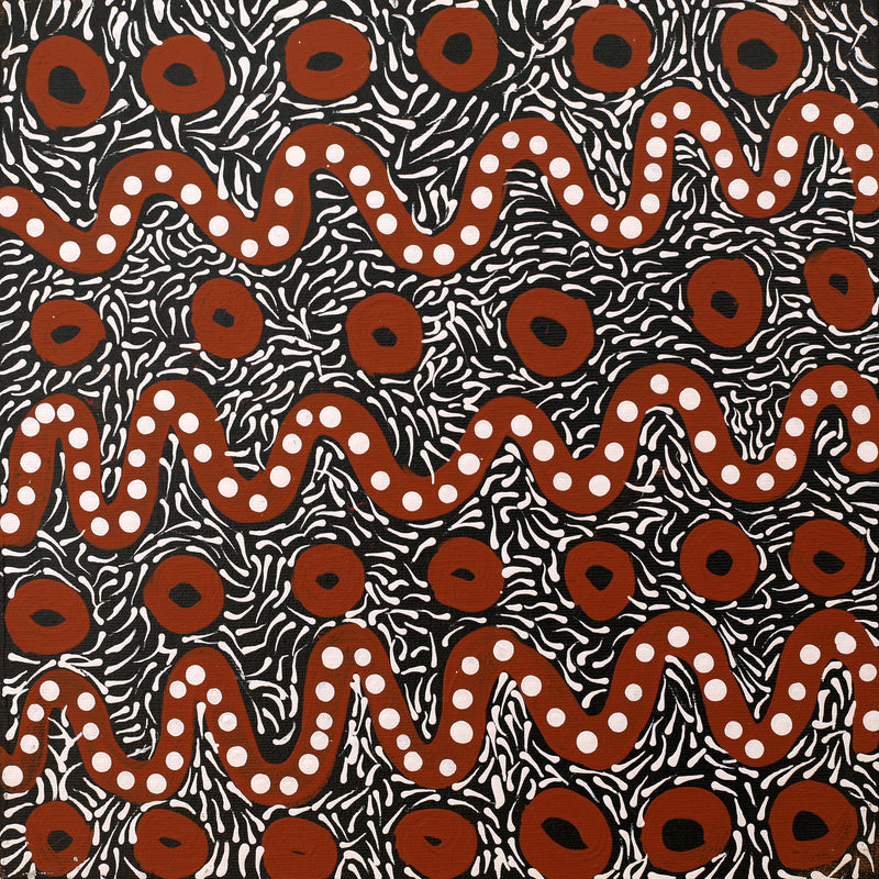 Aboriginal Artwork by Trevor Jupurrurla Walker, Pirlarla Jukurrpa (Dogwood Tree Bean Dreaming), 30x30cm