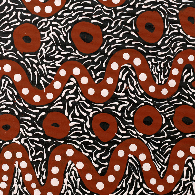 Aboriginal Artwork by Trevor Jupurrurla Walker, Pirlarla Jukurrpa (Dogwood Tree Bean Dreaming), 30x30cm