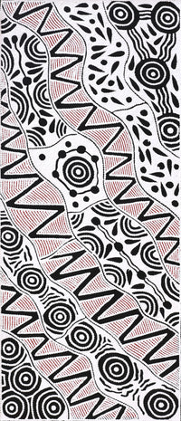 Aboriginal Artwork by Ursula Napangardi Hudson, Pikilyi Jukurrpa (Vaughan Springs Dreaming), 107x46cm