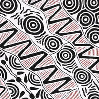 Aboriginal Artwork by Ursula Napangardi Hudson, Pikilyi Jukurrpa (Vaughan Springs Dreaming), 107x46cm