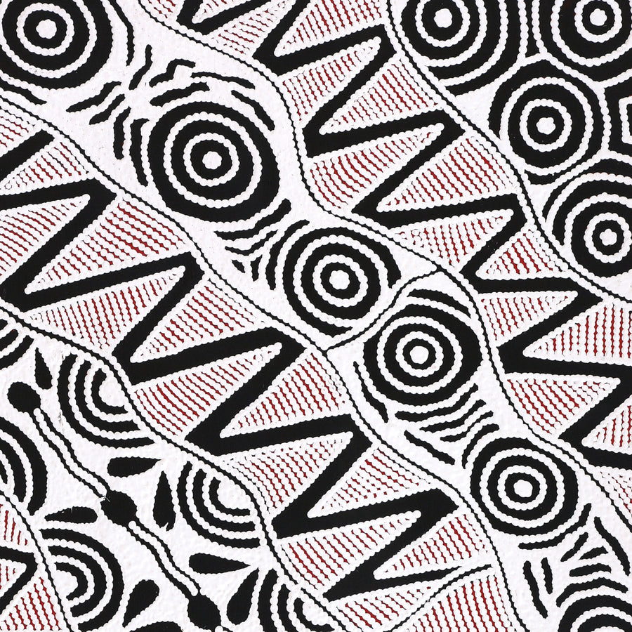 Aboriginal Artwork by Ursula Napangardi Hudson, Pikilyi Jukurrpa (Vaughan Springs Dreaming), 107x46cm