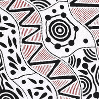 Aboriginal Artwork by Ursula Napangardi Hudson, Pikilyi Jukurrpa (Vaughan Springs Dreaming), 107x46cm