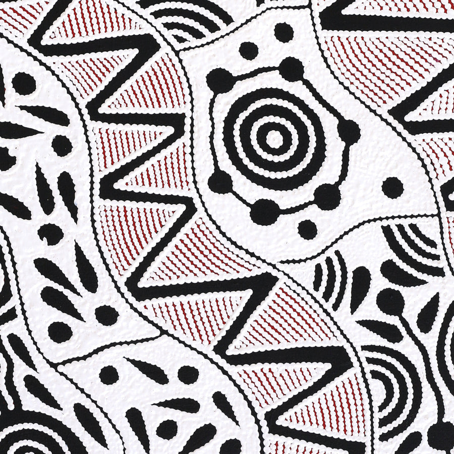 Aboriginal Artwork by Ursula Napangardi Hudson, Pikilyi Jukurrpa (Vaughan Springs Dreaming), 107x46cm