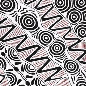 Aboriginal Art by Ursula Napangardi Hudson, Pikilyi Jukurrpa (Vaughan Springs Dreaming), 107x46cm - ART ARK®