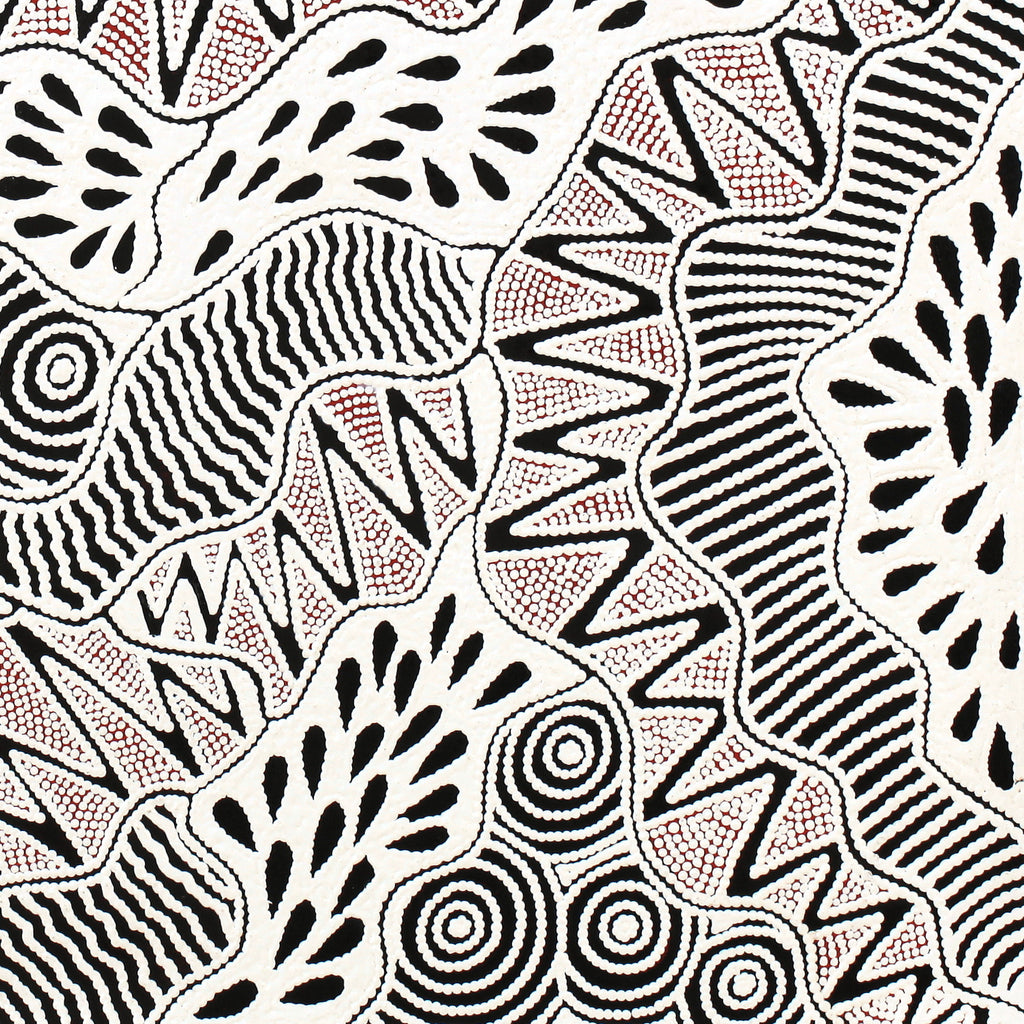 Aboriginal Artwork by Ursula Napangardi Hudson, Pikilyi Jukurrpa (Vaughan Springs Dreaming), 107x76cm - ART ARK®