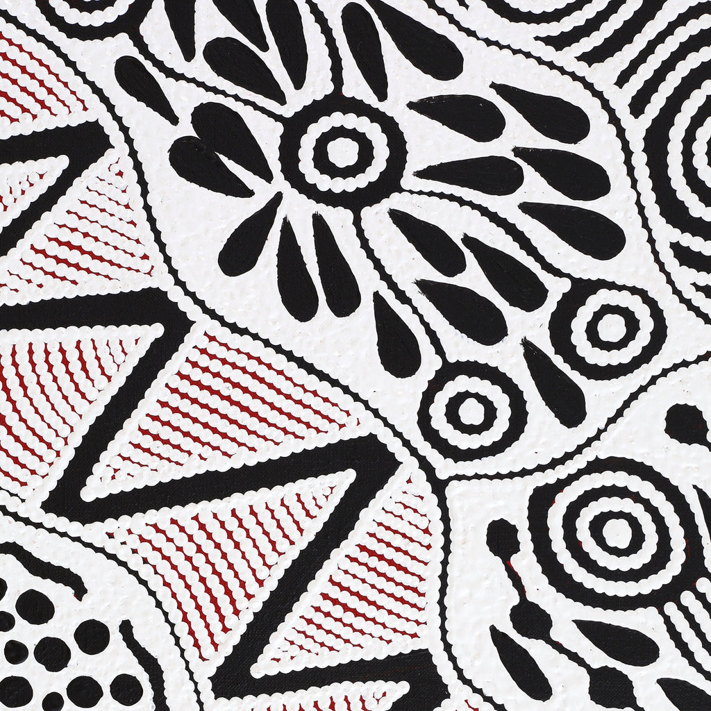 Aboriginal Artwork by Ursula Napangardi Hudson, Pikilyi Jukurrpa (Vaughan Springs Dreaming), 122x107cm