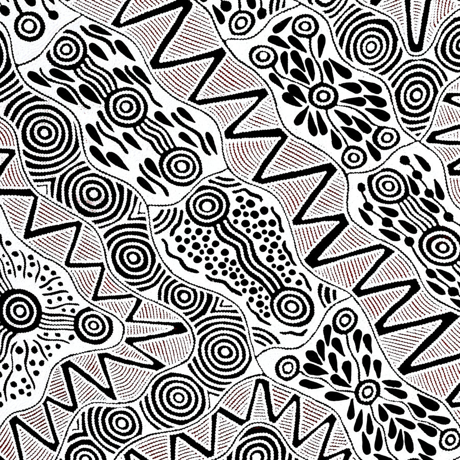 Aboriginal Artwork by Ursula Napangardi Hudson, Pikilyi Jukurrpa (Vaughan Springs Dreaming), 122x107cm