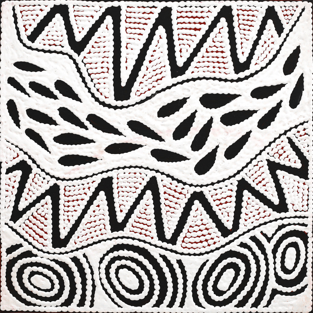 Aboriginal Artwork by Ursula Napangardi Hudson, Pikilyi Jukurrpa (Vaughan Springs Dreaming), 30x30cm