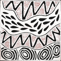 Aboriginal Artwork by Ursula Napangardi Hudson, Pikilyi Jukurrpa (Vaughan Springs Dreaming), 30x30cm